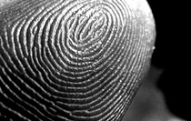 Featured Video: Fingerprint Evidence