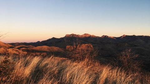 Banner image: Nogales, AZ by Brandon Davis/Unsplash