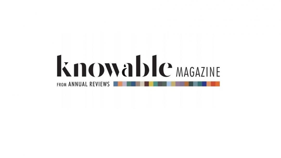 Knowable Magazine From Annual Reviews Logo