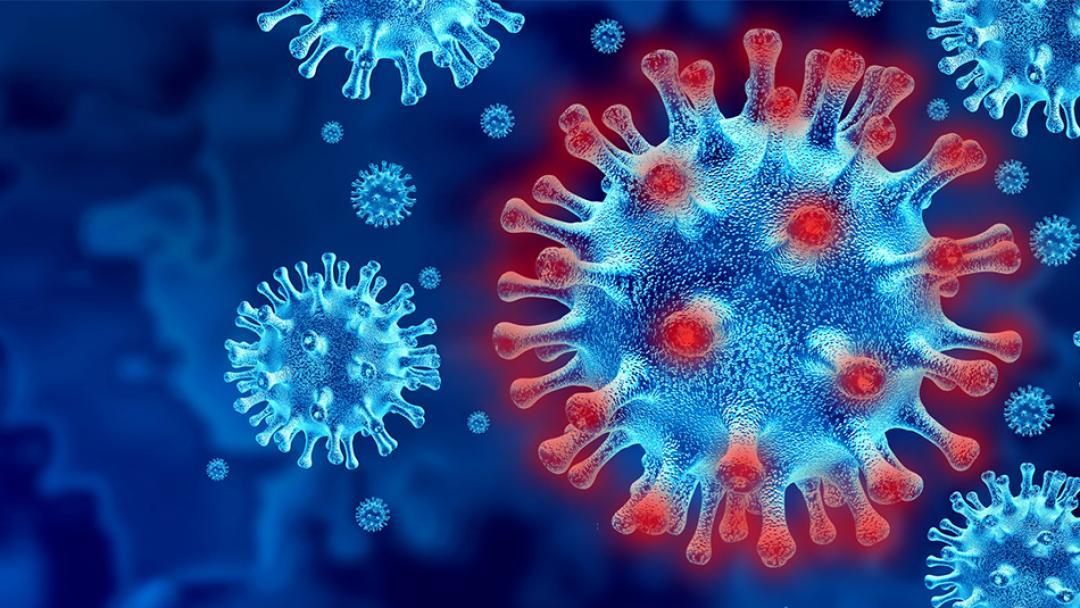 Coronavirus photo