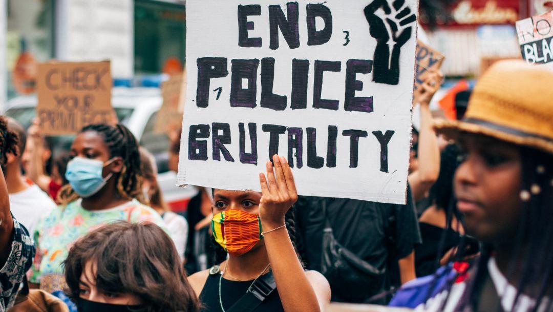 Protestors